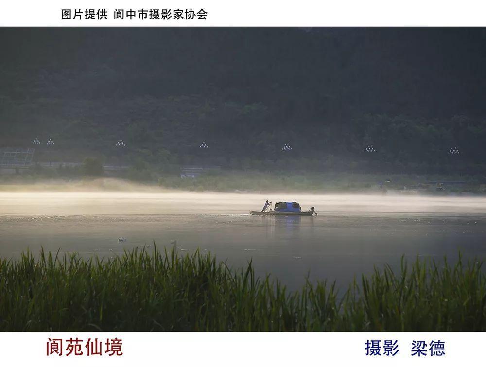落水狗血战日